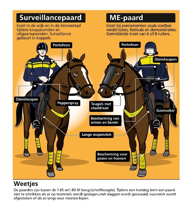 verschil surveillance en ME paard